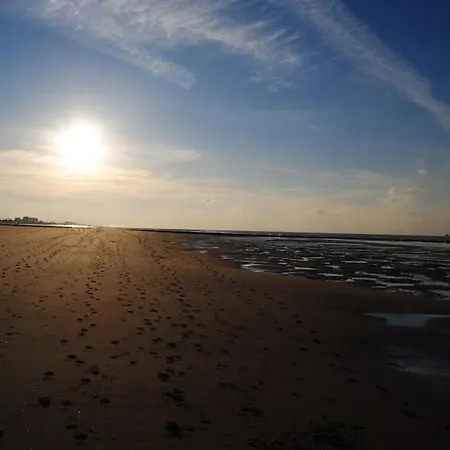 Modern Op De Zeedijk Met 2 Slaapkamers Te Οστένδη