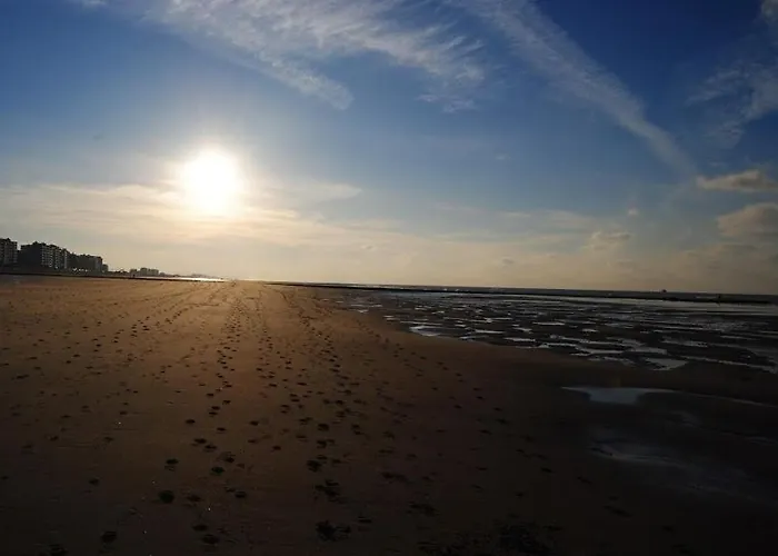 Modern Op De Zeedijk Met 2 Slaapkamers Te Oostende